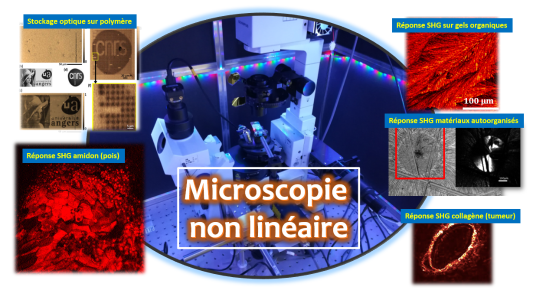 Microscopie et imagerie non linéaire
